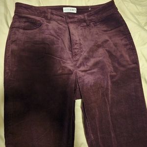 Loft Rich Bordeaux Skinny leg Velvet Jeans Size 10